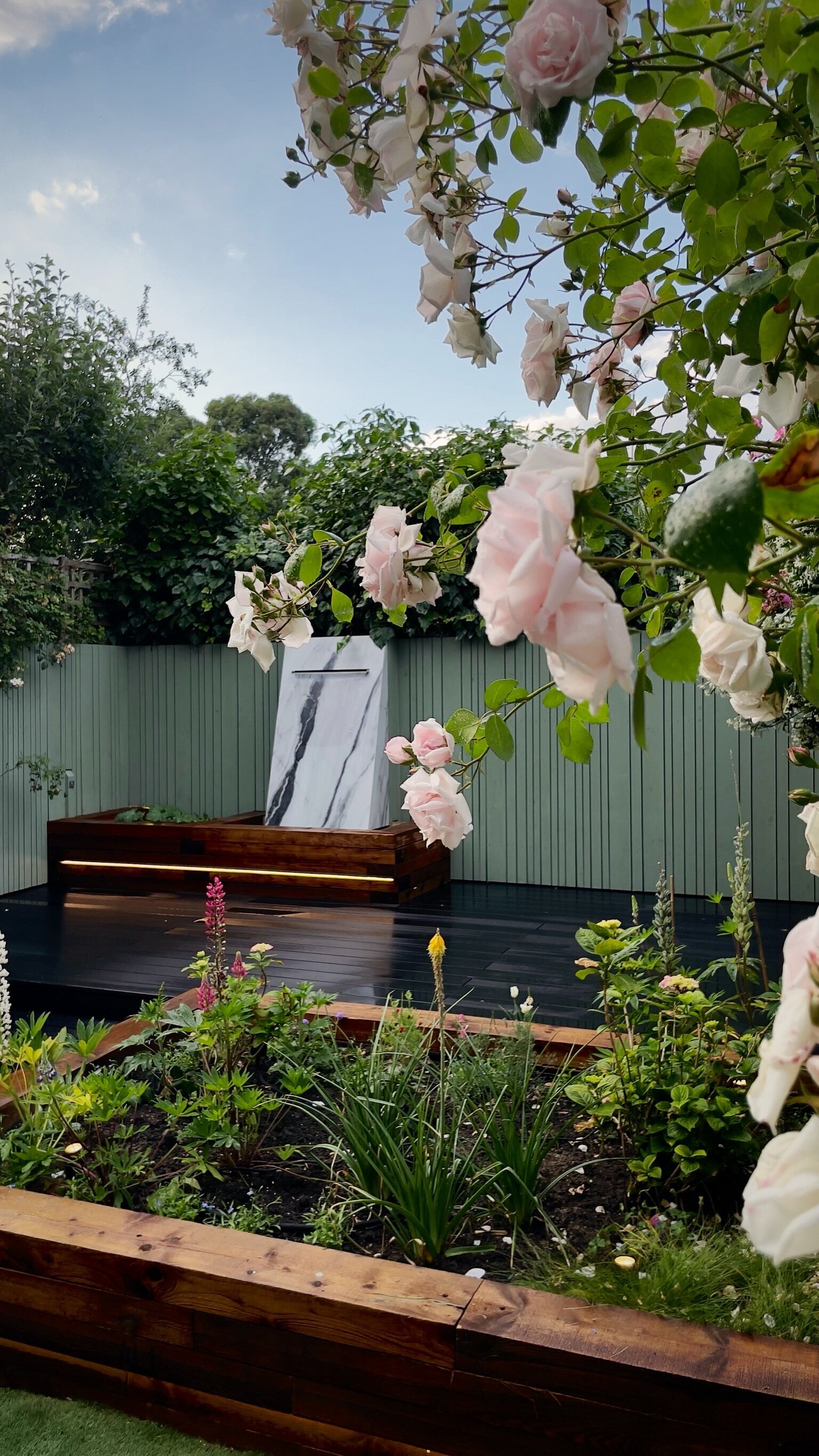A planted London garden with pale roses, timber beds and a marble water feature